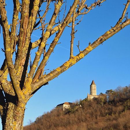 Burgblick Apartment- 60Qm, Kueche, Waschmaschine, Streamingdienste Seebenstein 외부 사진